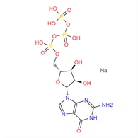 Guanosin 5'-trifosfat Trisodium Salt CAS 36051-31-7